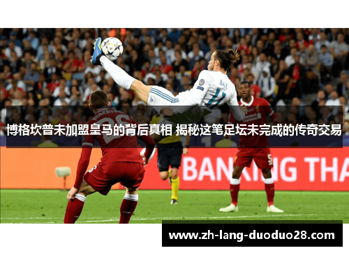 博格坎普未加盟皇马的背后真相 揭秘这笔足坛未完成的传奇交易 博格坎普未加盟皇马的背后真相 揭秘这笔足坛未完成的传奇交易