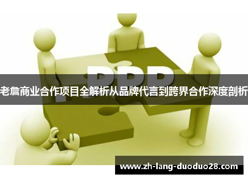 老詹商业合作项目全解析从品牌代言到跨界合作深度剖析